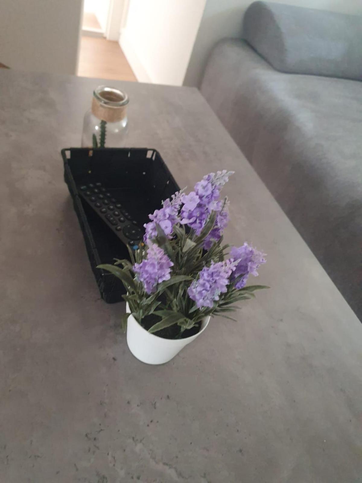 Graz City Center Apartments Экстерьер фото